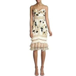 PatBo Fruta Print Fitted Midi Dress Size 8 Creme White & Green floral Sleeveless